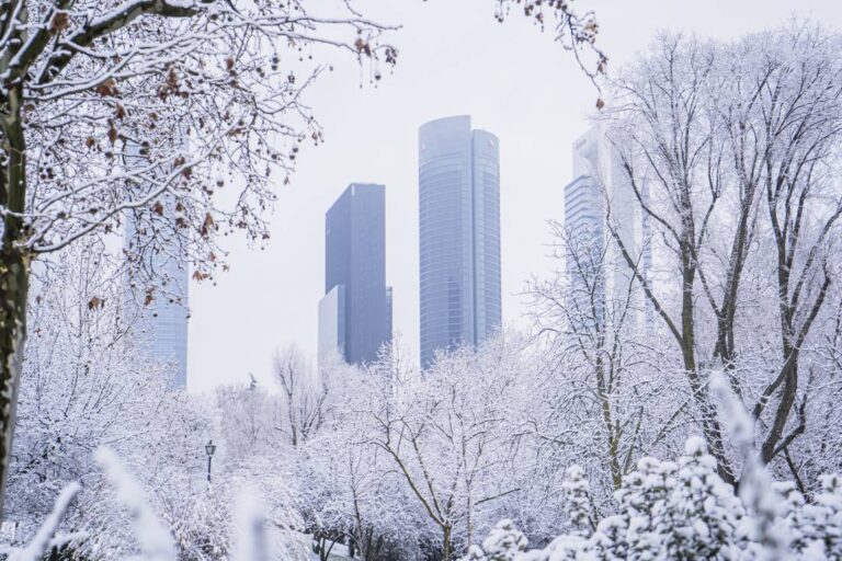 A view through snowy trees that shows two very tall skyscrapers in NYC