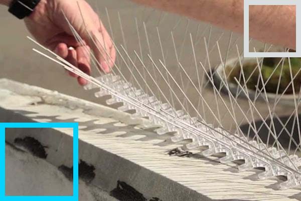 An employee is creating a bird netting and spikes